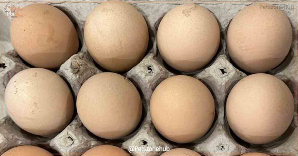 Your hens will lay fewer and fewer eggs as they age.